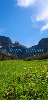 Vibrant mountain landscape with blue sky and green meadow.