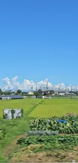 Sky Cloud Plant Live Wallpaper