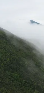 Sky Fog Mountain Live Wallpaper