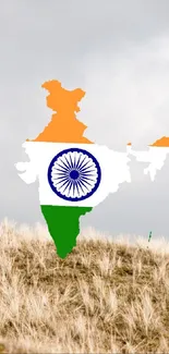 Indian flag map on a grassy field