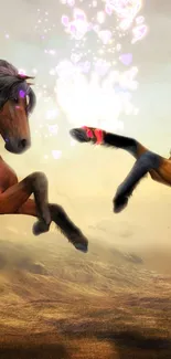 Sky Horse Cloud Live Wallpaper