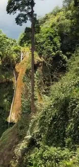 Lush green forest with a waterfall cascading down in a serene landscape.