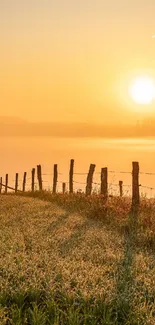 Sky Plant Cloud Live Wallpaper