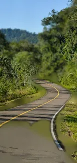 Winding road through lush green forest scenery.