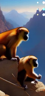 Sky Primate Vertebrate Live Wallpaper