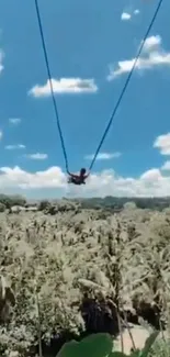 Person swinging over lush forest under a bright blue sky.