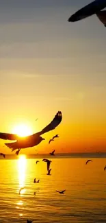 Birds flying over ocean at sunset with vibrant orange sky.