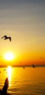 Sunset over ocean with birds flying in the orange sky.