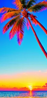 Vibrant tropical sunset with palm trees and beach.