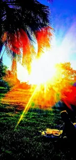 Vibrant sunset with silhouette beneath lush tropical trees.