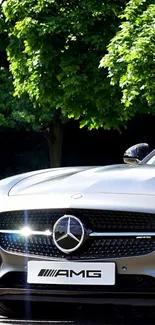 Luxurious AMG car framed by green trees in sunlight.