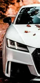 White luxury car on autumn leaf road.