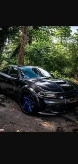 Black Dodge Charger with blue rims in a forest setting.