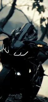 Sleek black motorcycle under silhouetted trees with glowing headlights.