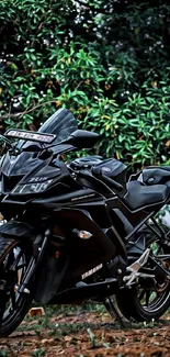 Black motorcycle parked among lush greenery, perfect for a wallpaper.