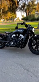 Sleek black motorcycle in park setting with trees visible.