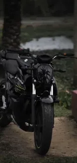 Sleek black motorcycle under lush greenery.