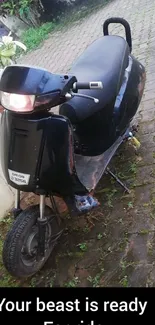 Sleek black scooter parked on pavement with plants nearby.