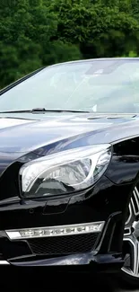 Sleek black sports car with green background.