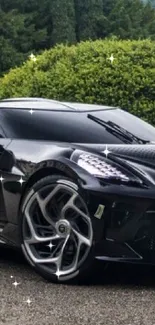 Sleek black sports car parked outdoors in beautiful natural setting.