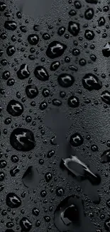 Sleek black wallpaper with realistic water droplets texture.