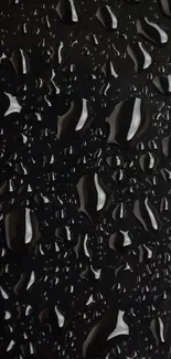 Glossy water droplets on a black background wallpaper.