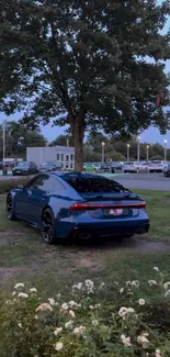 Sleek blue sports car parked under a tree in a garden setting.