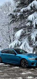 Blue car parked in a snowy forest landscape.