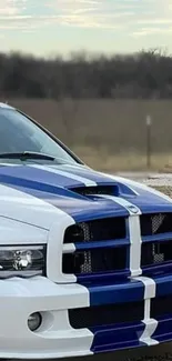 Sleek car with blue stripes against natural backdrop.