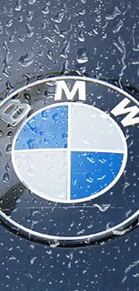 Close-up of BMW emblem and chrome grille on dark blue car.