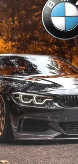 Sleek black BMW car with glossy finish on road with fall background.