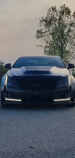 A sleek black car on a road during a sunset with trees in the background.