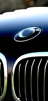 Sleek black car grille and emblem close-up.