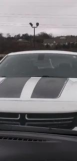 Front view of a white car with black racing stripes.