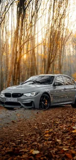 Car on leaf-covered road in autumn forest.