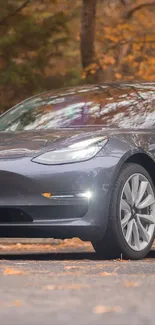 Sleek car parked amidst autumn foliage in a tranquil forest setting.