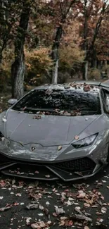 Sleek grey sports car surrounded by autumn leaves on a forest road.