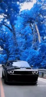 Black car driving in vibrant blue forest wallpaper.