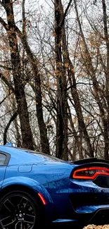 Blue car parked in a forest with trees in the background.