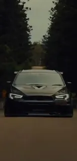 Black car driving on forest road in evening light.