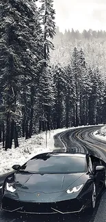 Sleek black car driving on a snowy forest road.