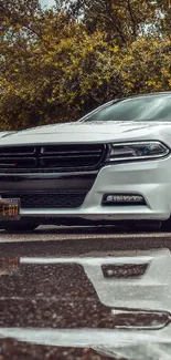Sleek white car with tree reflections on wet pavement.