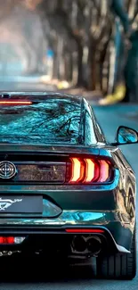 Rear view of sleek black car on a tranquil urban road.