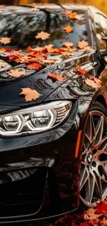 A black car covered with autumn leaves.