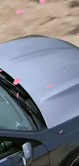 Elegant car with cherry blossom petals on a serene backdrop.