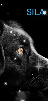 Black and white dog silhouette with vibrant eyes on a dark background.