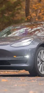 Sleek electric car amidst autumn leaves and trees.