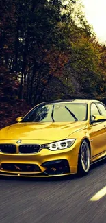 Gold BMW car driving through autumn forest.