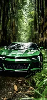 Green sports car in a lush bamboo forest setting.