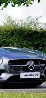 Sleek grey sports car parked on a road with greenery in the background.